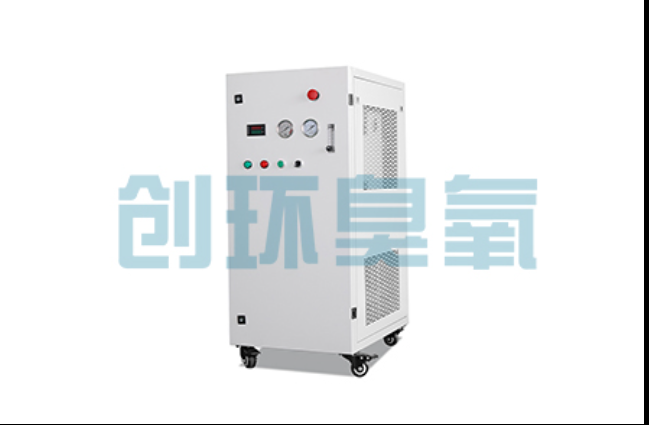 丽水工厂化养鲈必看：2026年臭氧发生器替代传统消毒的最新方案