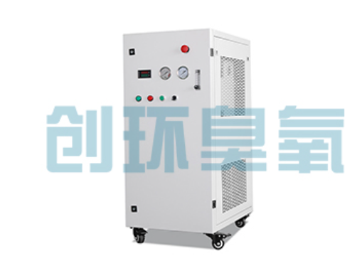 丽水石斑鱼养殖水质调控完整指南：臭氧发生器配置与操作步骤
