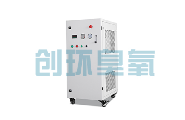 丽水比传统换水更高效？臭氧发生器在石斑鱼养殖中的水质净化原理解析