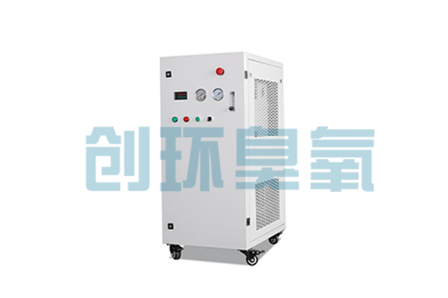 丽水比传统换水更高效？臭氧发生器在石斑鱼养殖中的水质净化原理解析